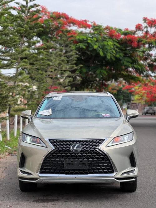 Lexus RX350 2020 Model