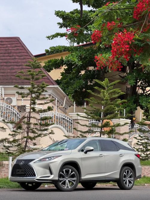 Lexus RX350 2020 Model
